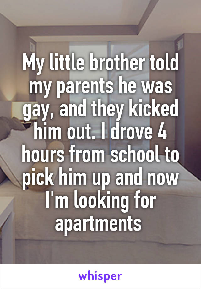 little brother gay sex stories