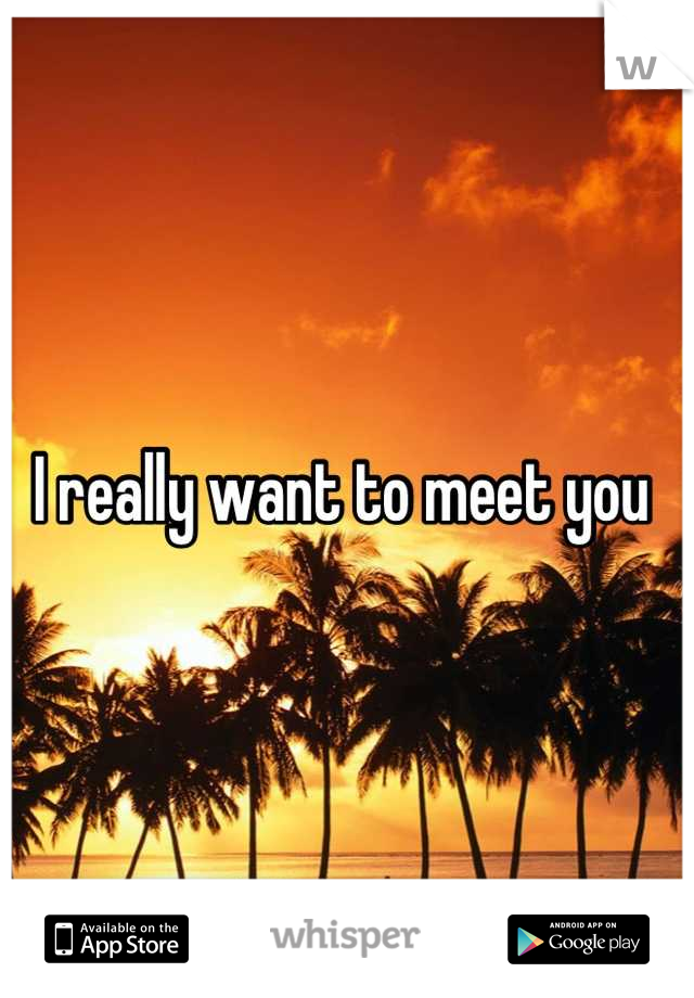 i-really-want-to-meet-you