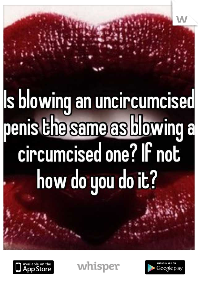 Circumcised Vs Uncircumcised Porn - Circumsised penis and uncircumsised penis pictures ...