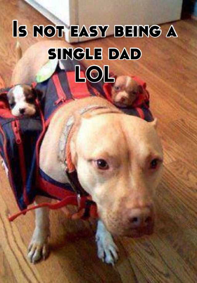 is-not-easy-being-a-single-dad-lol