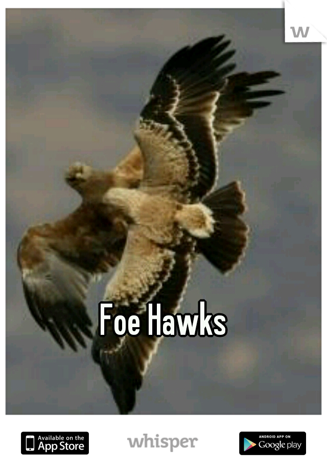 Foe Hawks