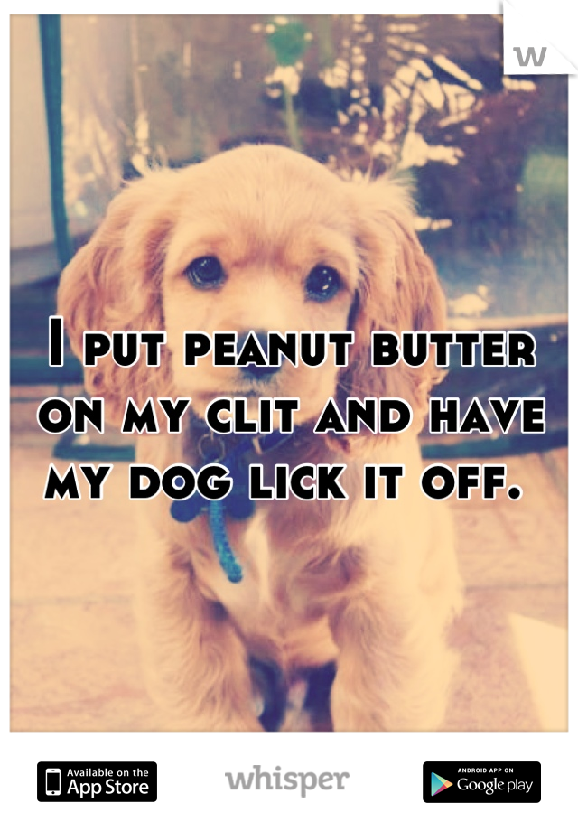 Animal Licking Human Pussy Gif - Dog licks peanut butter from cunt - Other