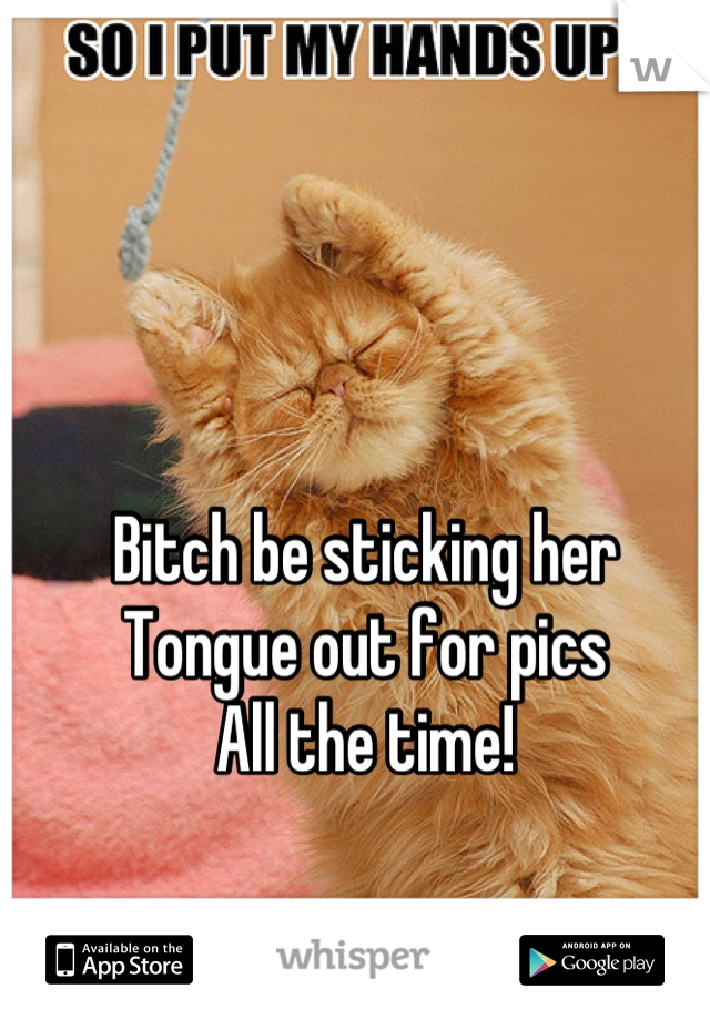 Orange Cat With Tongue Out Meme | Best Cat Wallpaper