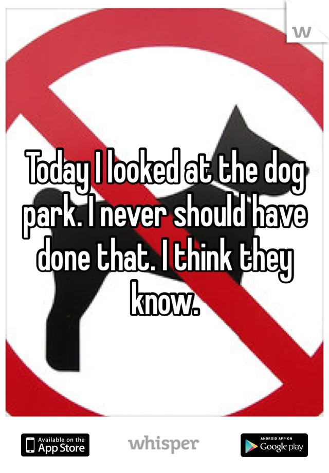 Today I looked at the dog park. I never should have done that. I think they know.