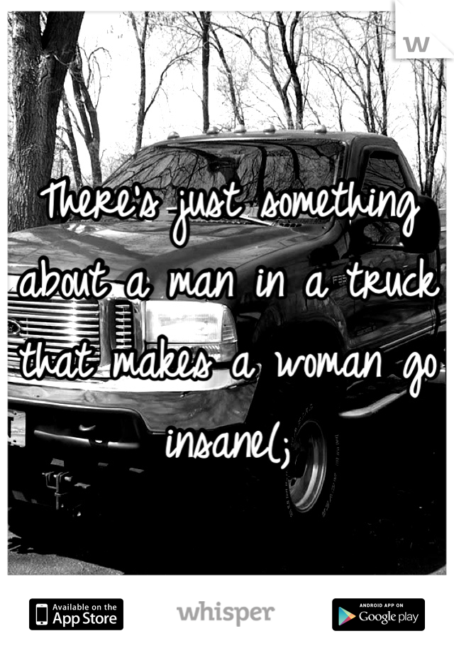There's just something about a man in a truck that makes a woman go insane(;