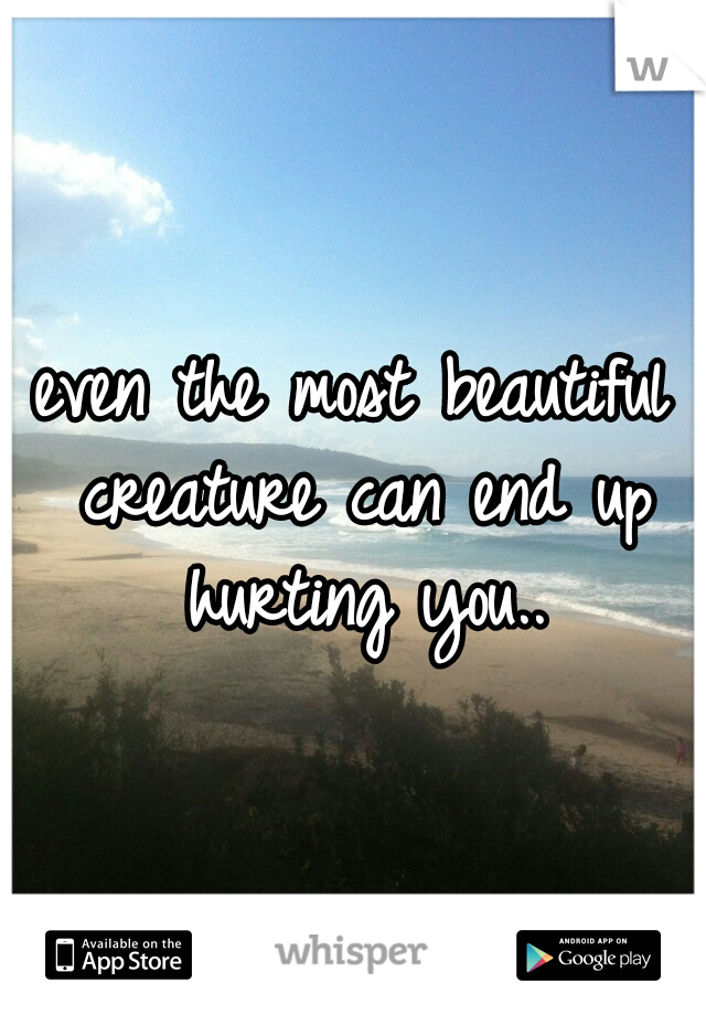 even the most beautiful creature can end up hurting you..