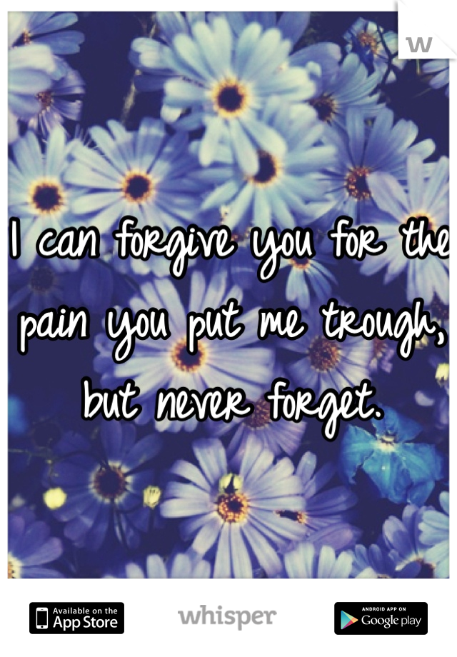 I can forgive you for the pain you put me trough, but never forget.