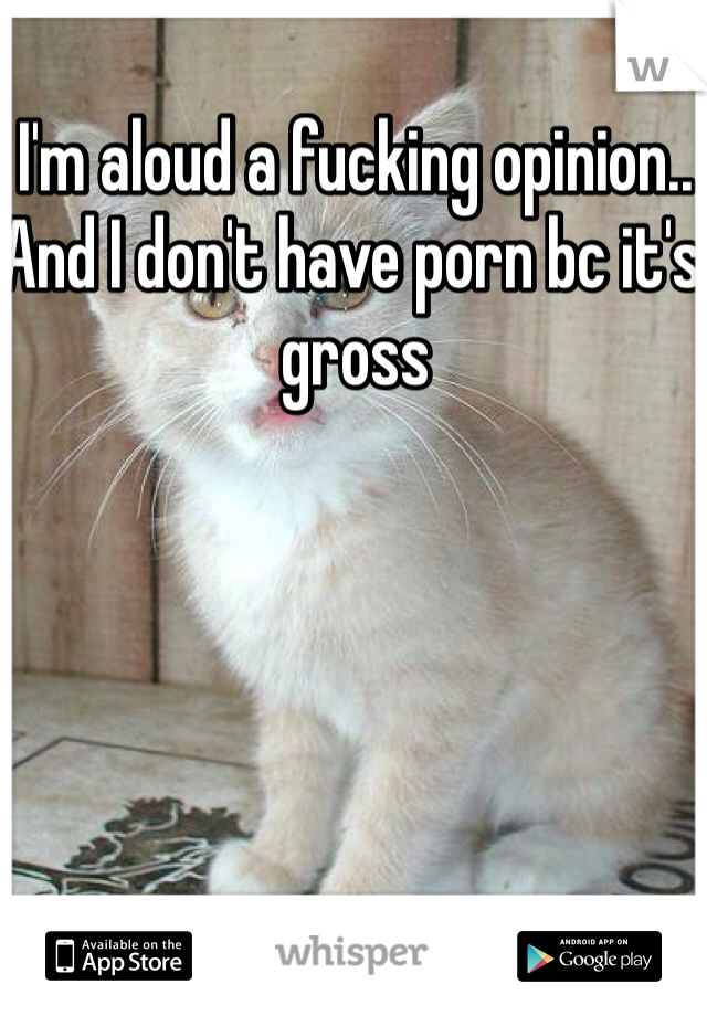 Fucking Gross - I'm aloud a fucking opinion.. And I don't have porn bc it's ...