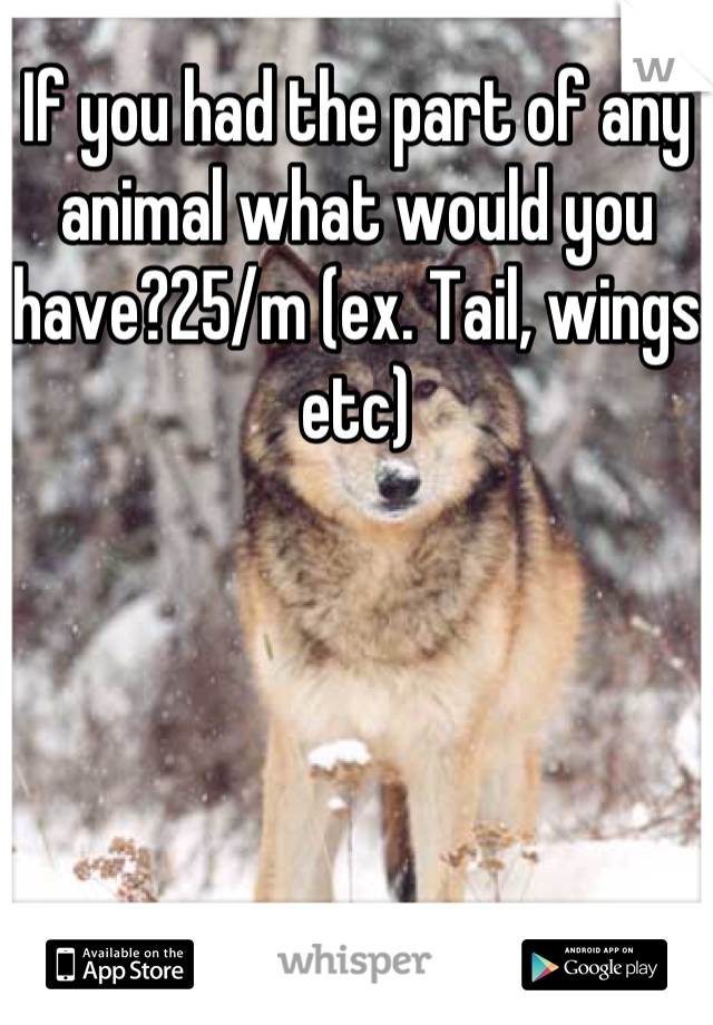 If you had the part of any animal what would you have?25/m (ex. Tail, wings etc)