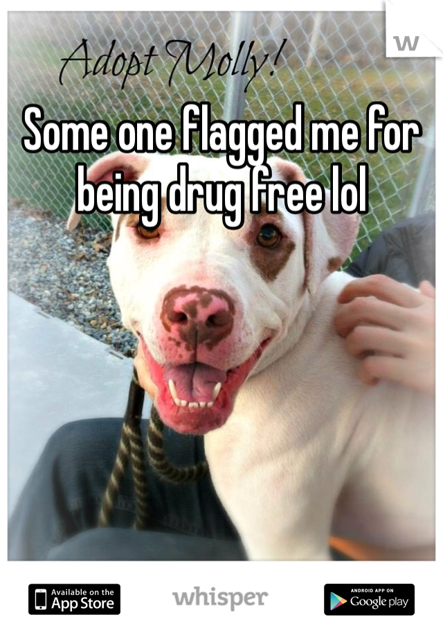 Some one flagged me for being drug free lol 