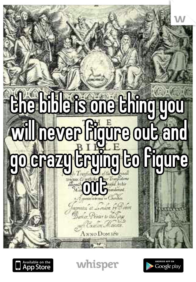 the bible is one thing you will never figure out and go crazy trying to figure out  