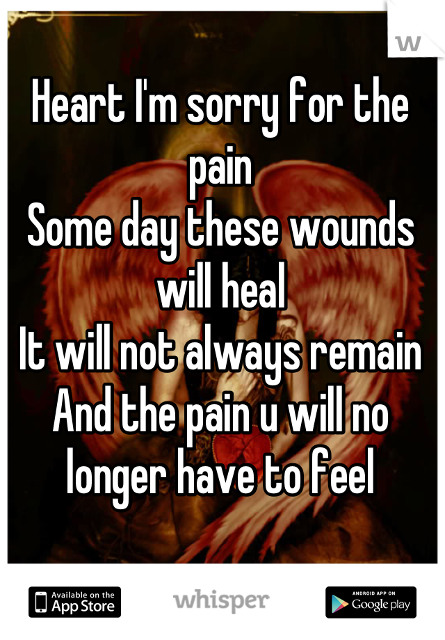 Heart I'm sorry for the pain 
Some day these wounds will heal
It will not always remain 
And the pain u will no longer have to feel