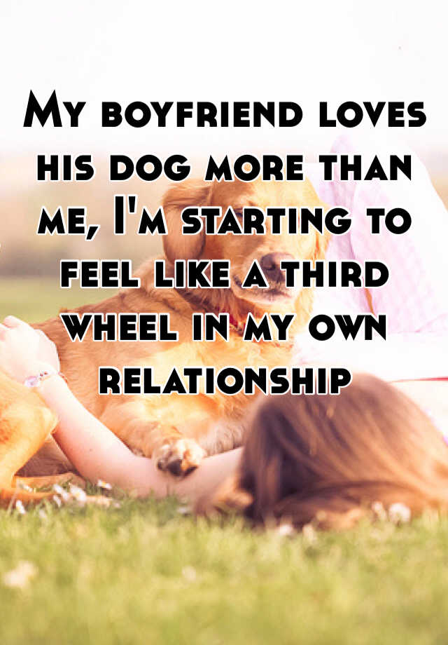 My Boyfriend Loves His Dog More Than Me I M Starting To Feel Like A Third Wheel In My Own Relationship