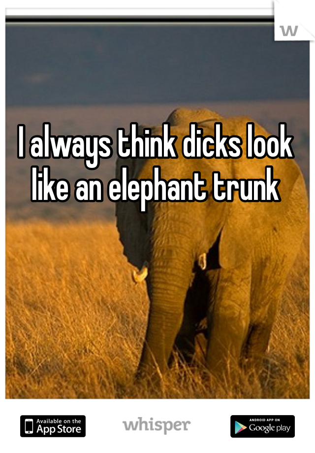 I always think dicks look like an elephant trunk