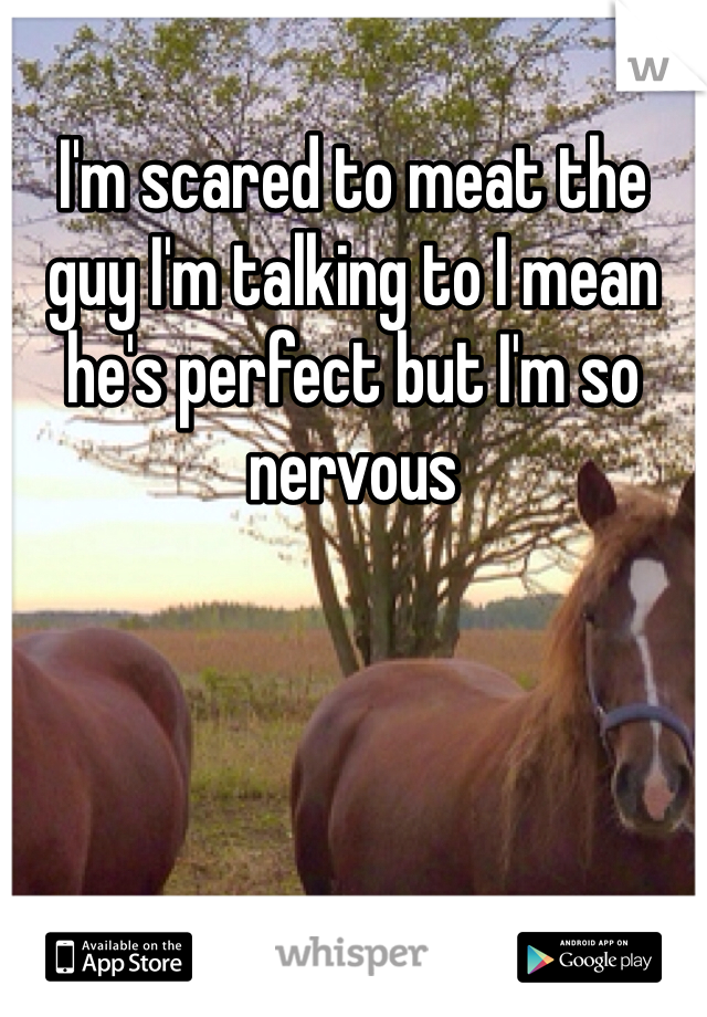 I'm scared to meat the guy I'm talking to I mean he's perfect but I'm so nervous 