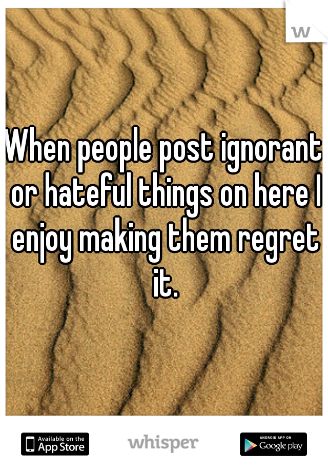 When people post ignorant or hateful things on here I enjoy making them regret it.
