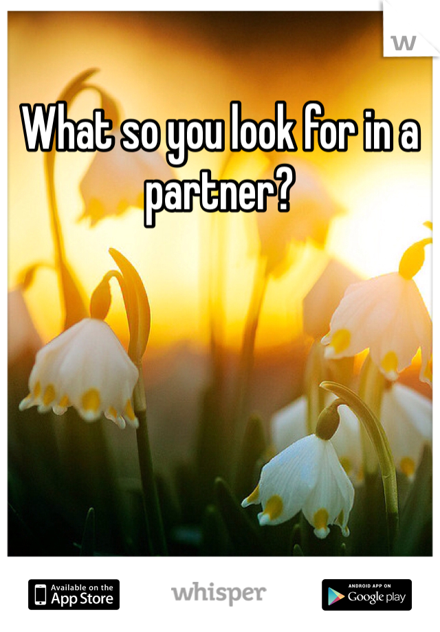 What so you look for in a partner?