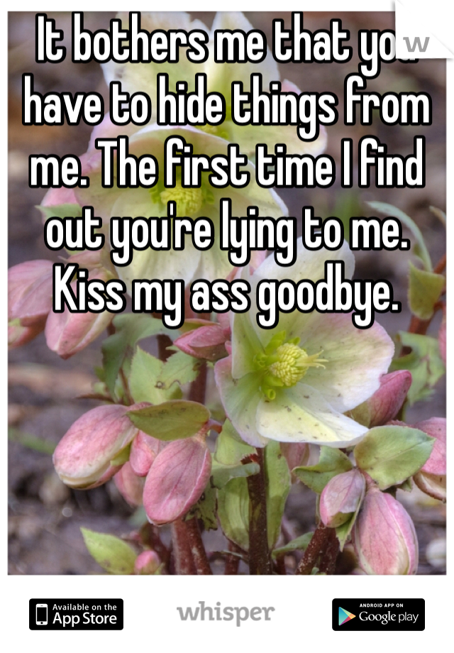 It bothers me that you have to hide things from me. The first time I find out you're lying to me. Kiss my ass goodbye.