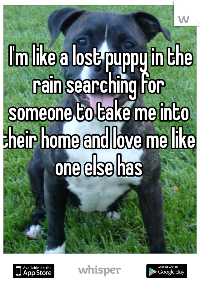  I'm like a lost puppy in the rain searching for someone to take me into their home and love me like one else has