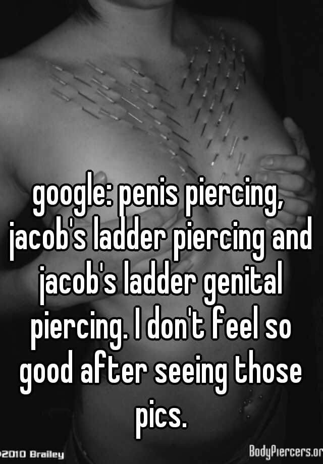 Piercing penis ladder Types Of