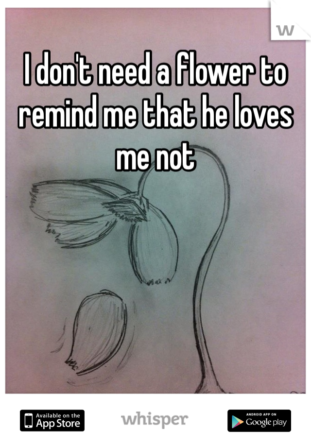 I don't need a flower to remind me that he loves me not