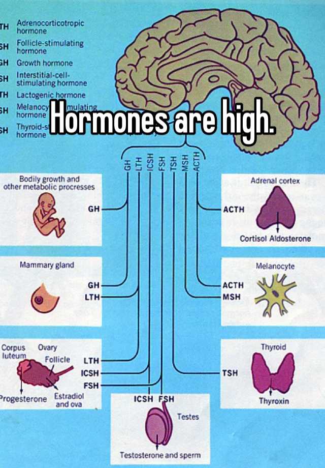 hormones-are-high