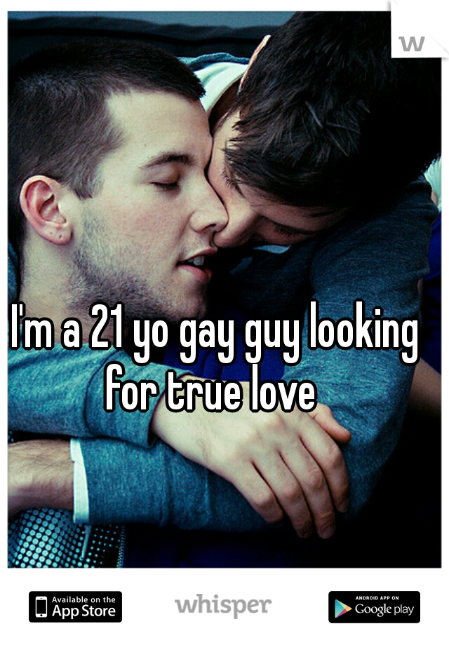 gay true love