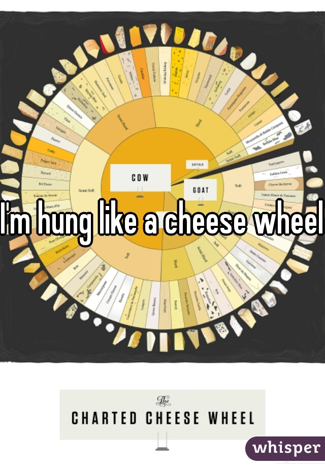 Charted Cheese Wheel