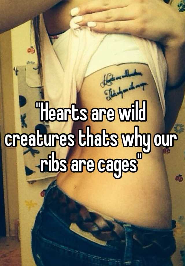 Hearts are wild creatures. That