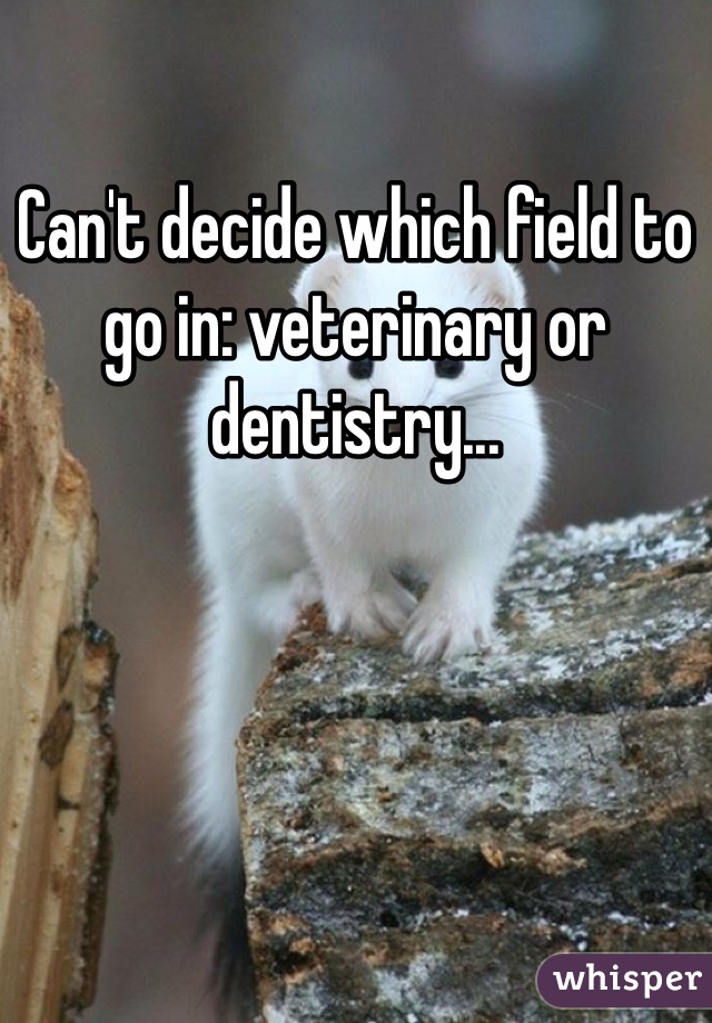 Can't decide which field to go in: veterinary or dentistry...