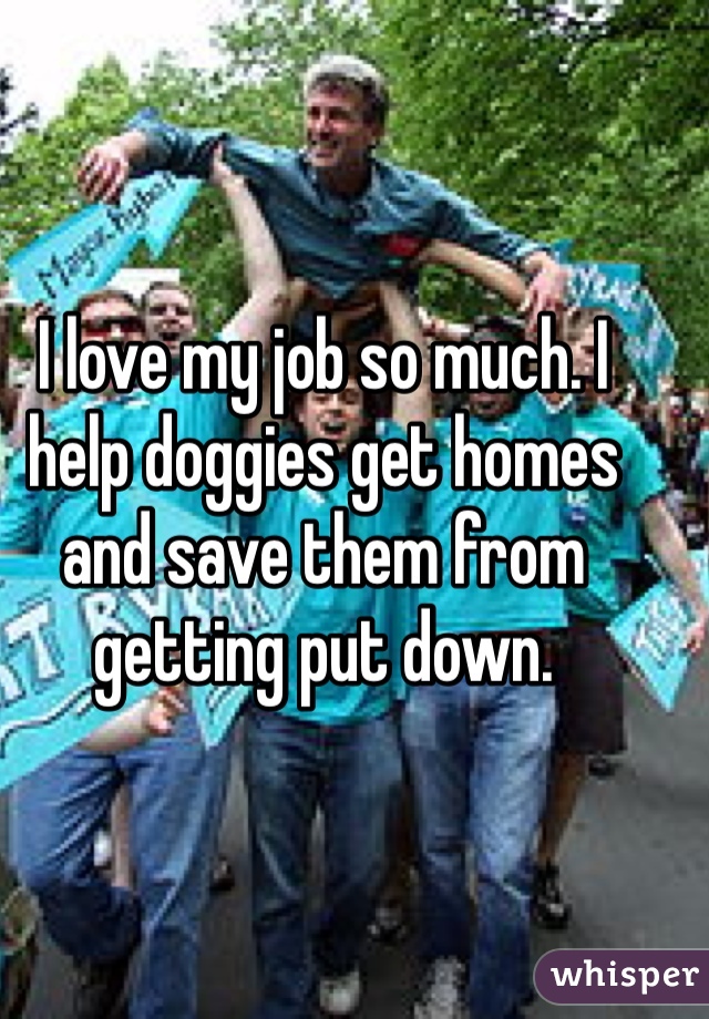 I love my job so much. I help doggies get homes and save them from getting put down. 