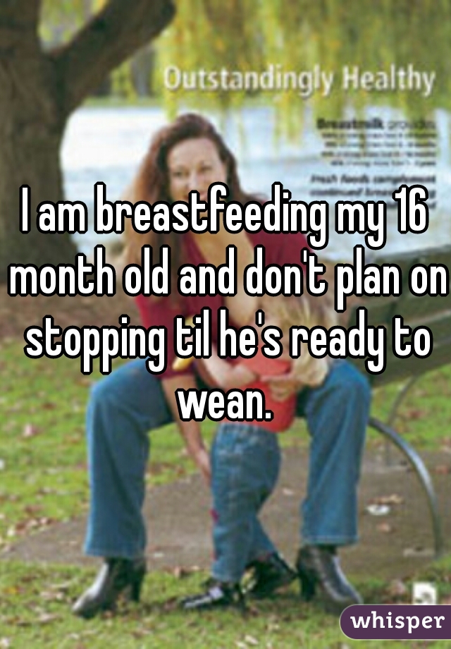 I am breastfeeding my 16 month old and don't plan on stopping til he's ready to wean. 