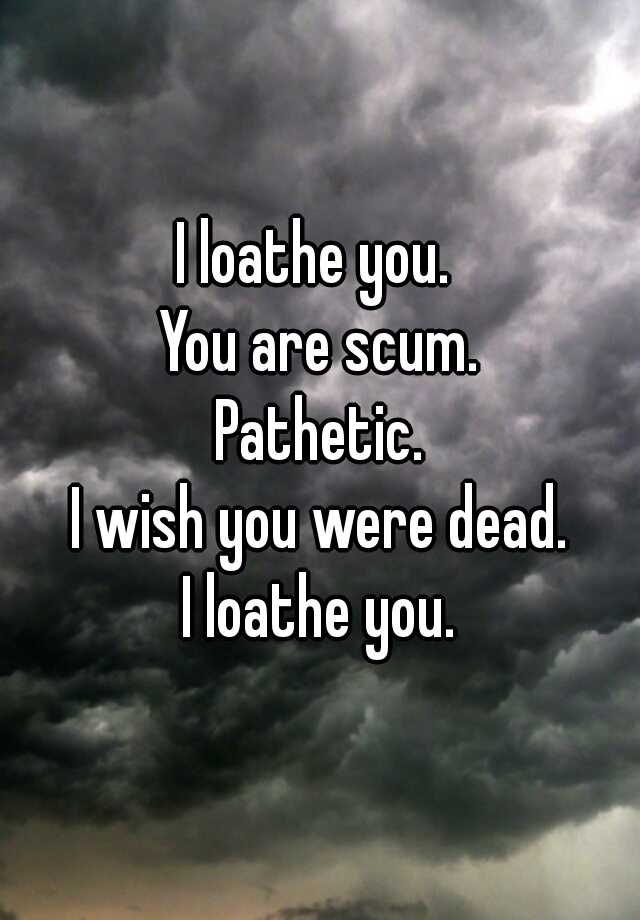 i-loathe-you-you-are-scum-pathetic-i-wish-you-were-dead-i-loathe-you