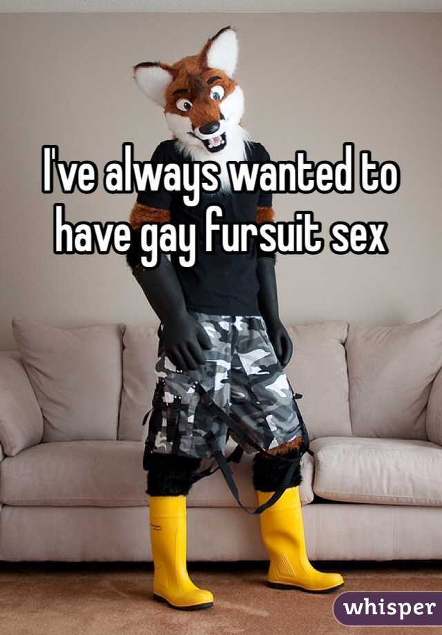 furry gay porn stories