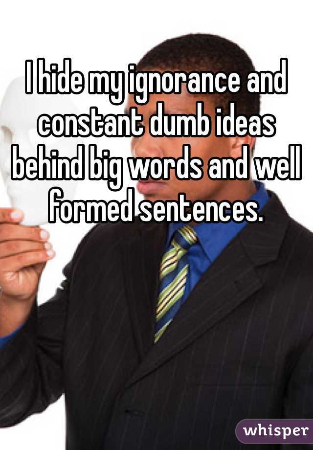 I hide my ignorance and constant dumb ideas behind big words and well formed sentences. 
