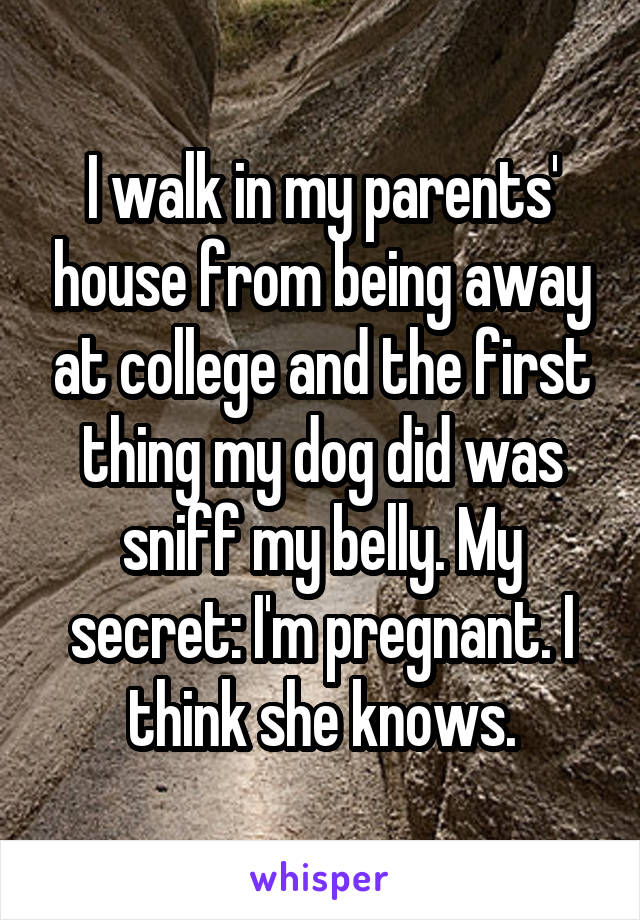 I walk in my parents' house from being away at college and the first thing my dog did was sniff my belly. My secret: I'm pregnant. I think she knows.