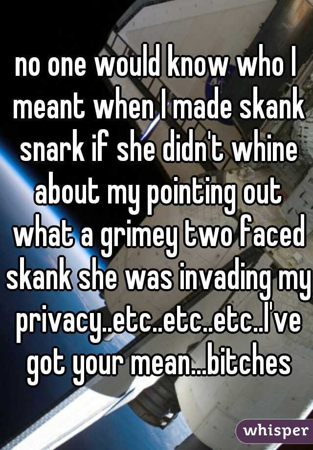 no one would know who I meant when I made skank snark if she didn't whine about my pointing out what a grimey two faced skank she was invading my privacy..etc..etc..etc..I've got your mean...bitches