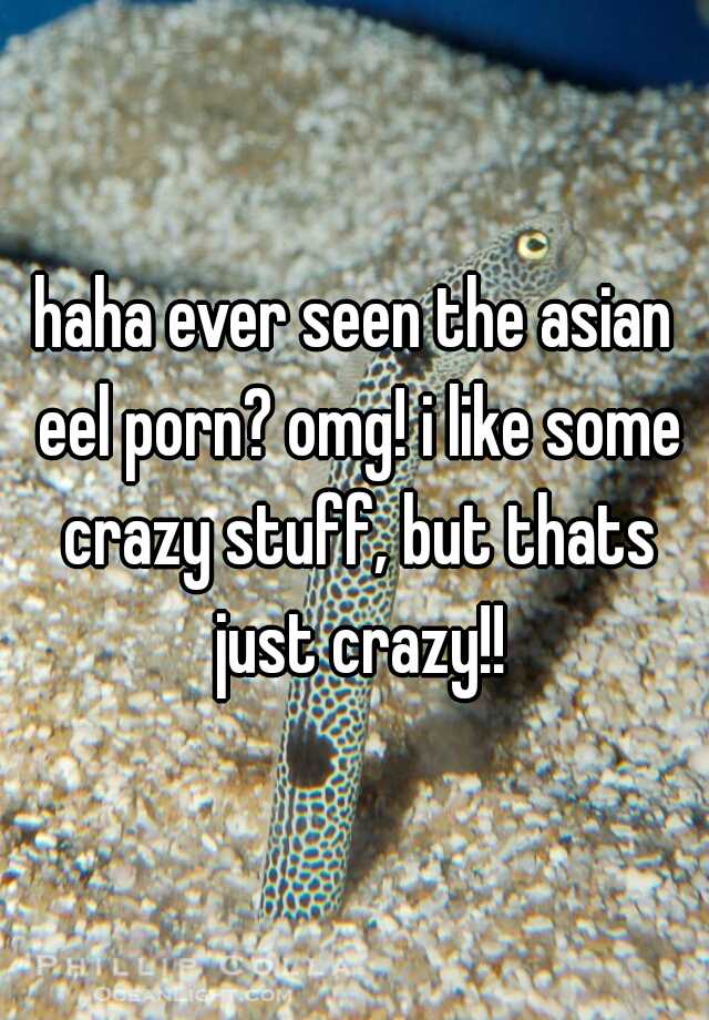 Asian Eel Porn - haha ever seen the asian eel porn? omg! i like some crazy ...