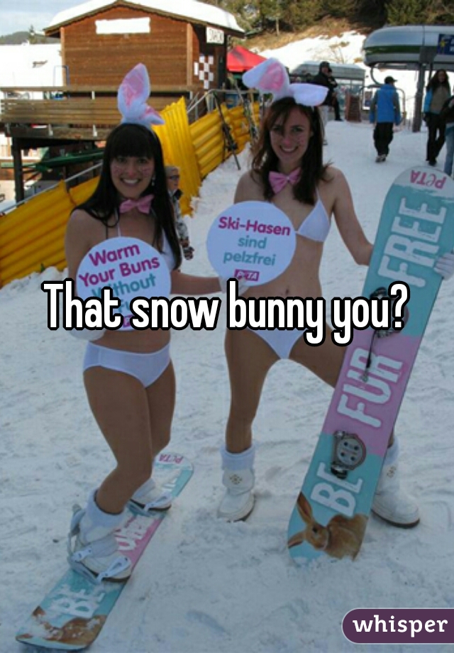 Snow bunny pov