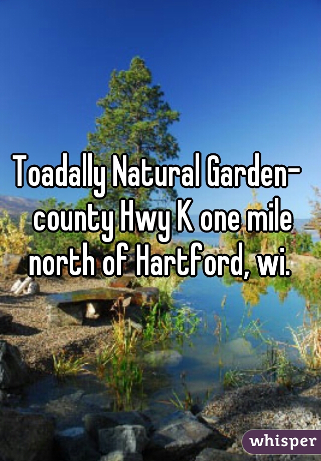 Toadally Natural Garden County Hwy K One Mile North Of Hartford Wi