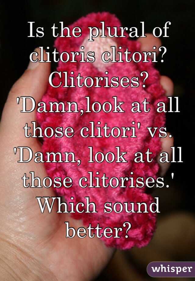 Of clitorus plural Declension Klitoris