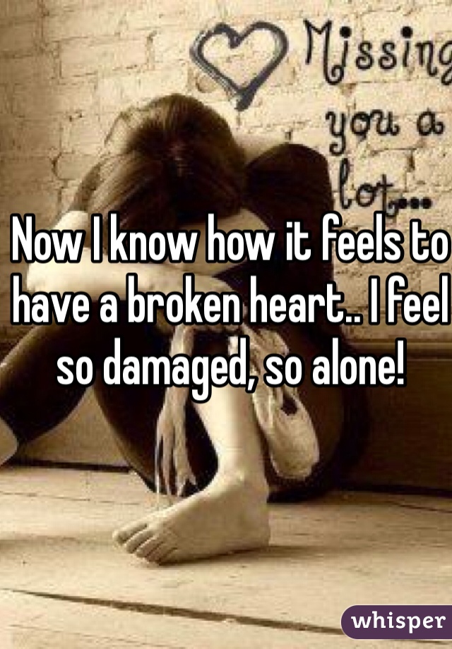 Now I know how it feels to have a broken heart.. I feel so damaged, so alone! 