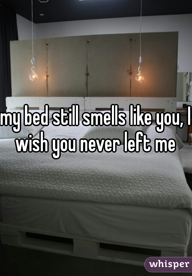 my bed still smells like you, I wish you never left me 