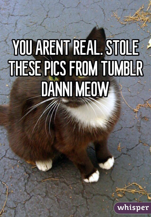 Meow tumblr danni Visit Danni