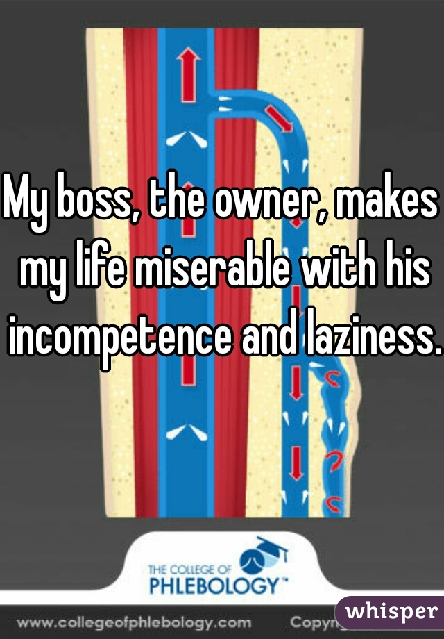 My boss, the owner, makes my life miserable with his incompetence and laziness.  