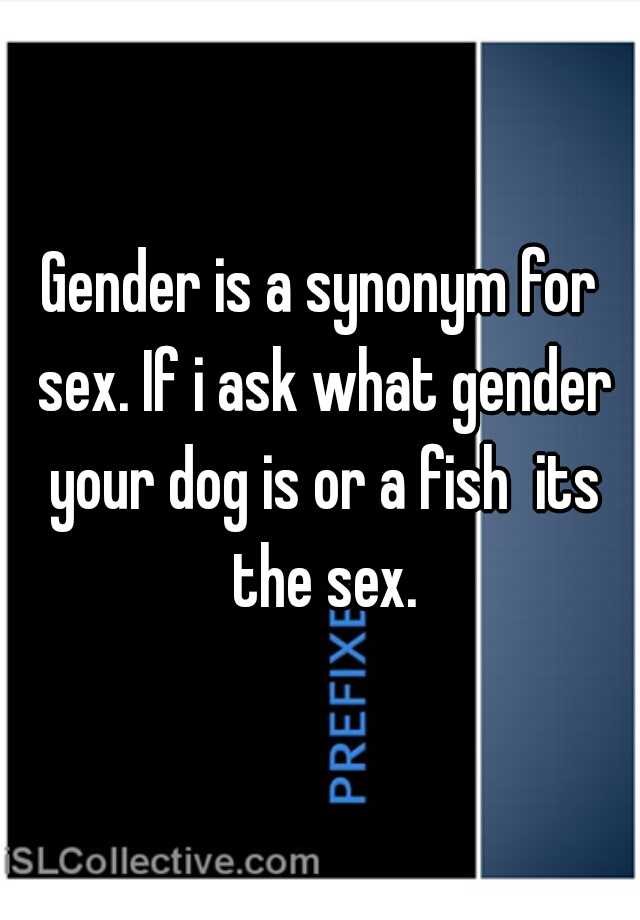 gender equal synonym