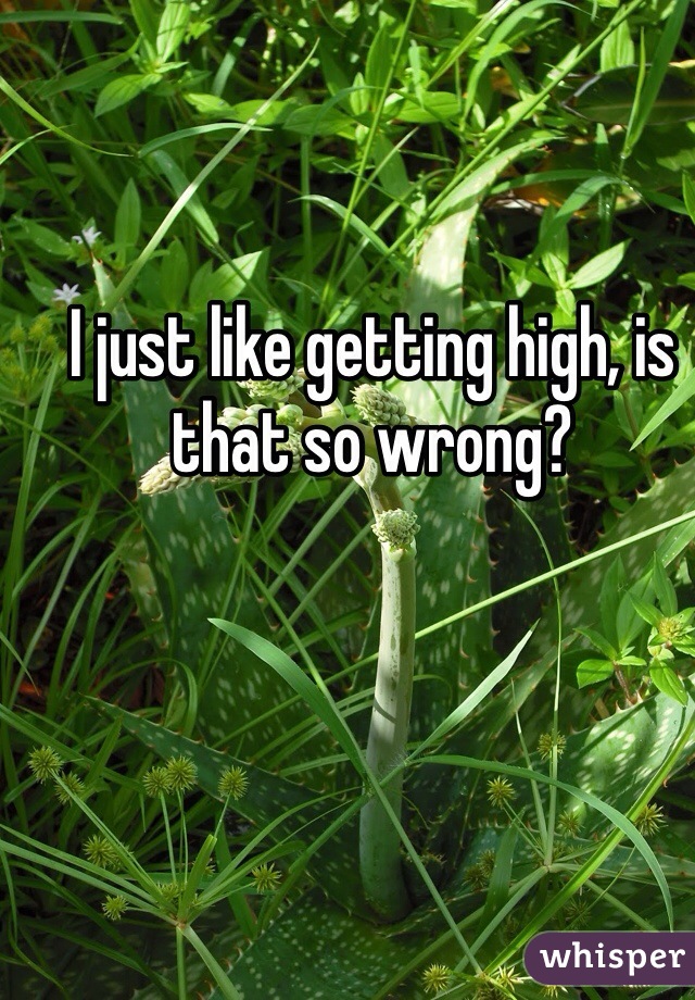 I just like getting high, is that so wrong? 