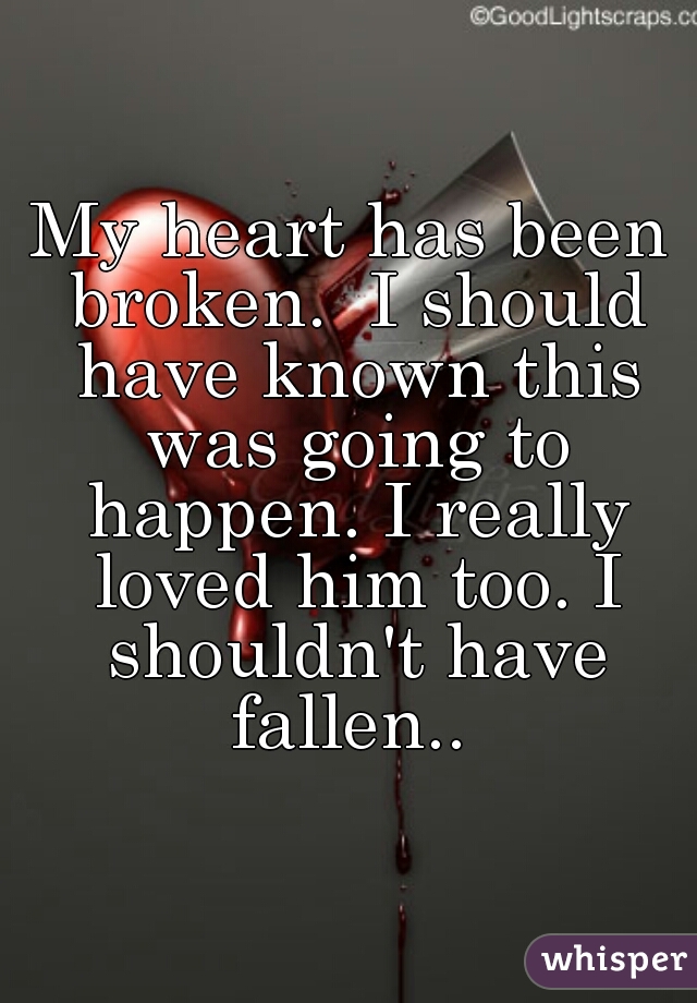 My heart has been broken.  I should have known this was going to happen. I really loved him too. I shouldn't have fallen.. 