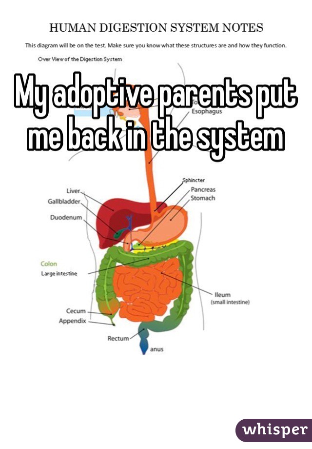 My adoptive parents put me back in the system 