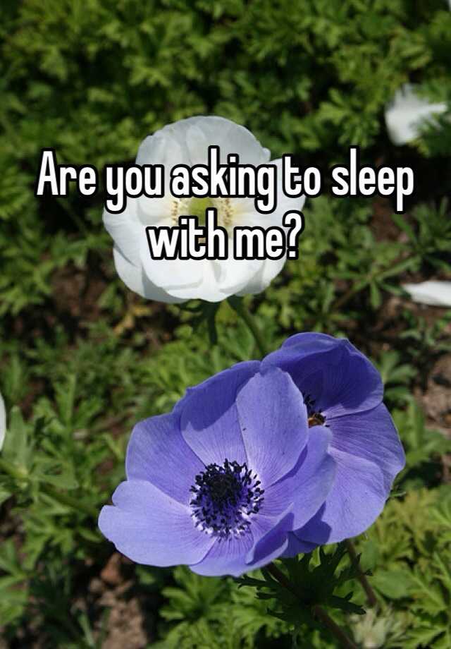 are-you-asking-to-sleep-with-me